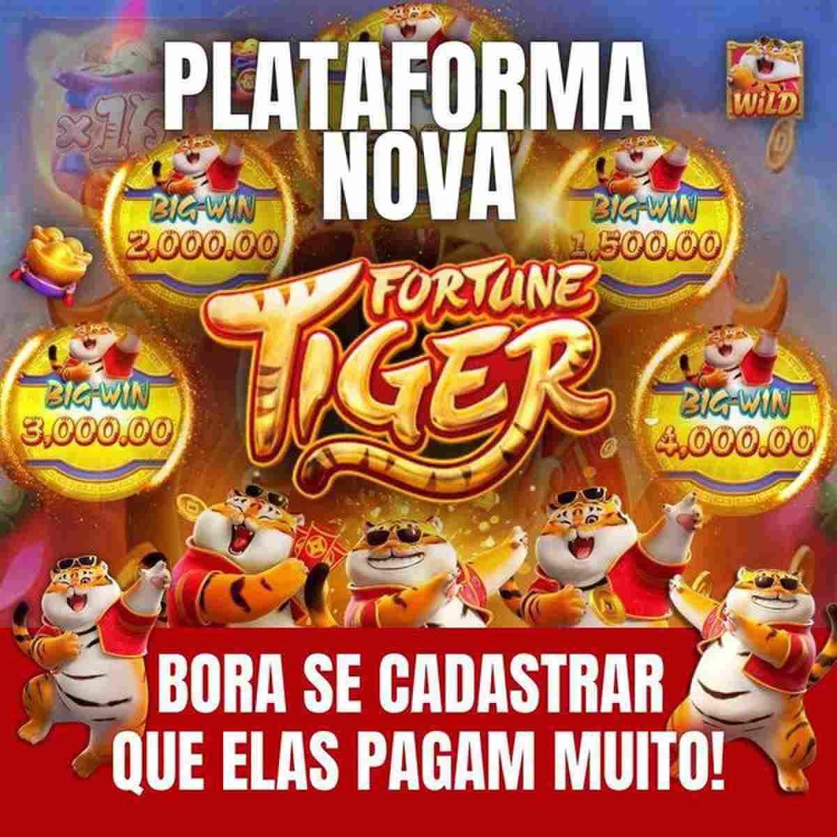 plataforma de 10 reais cassino